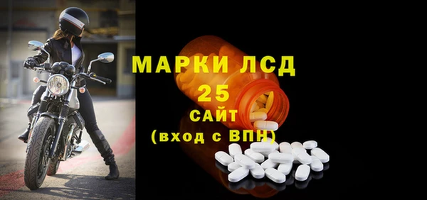 прущие грибы Алексин