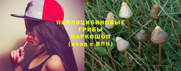 прущие грибы Алексин