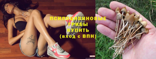 spice Алексеевка