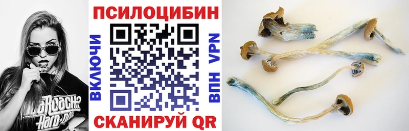 как найти наркотики  Зверево  Псилоцибиновые грибы мухоморы 